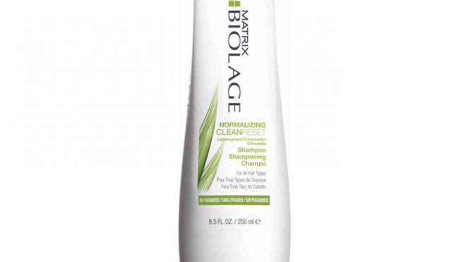 MATRIX BIOLAGE SCALPSYNG SHAMPOO NORMALIZING 250 ML