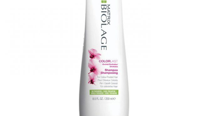 MATRIX BIOLAGE COLORLAST SHAMPOO 250 ML